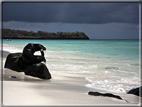 foto Isole Galapagos